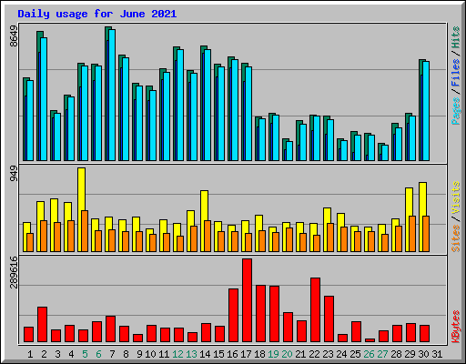 Daily usage for June 2021