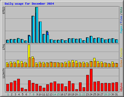 Daily usage for December 2024