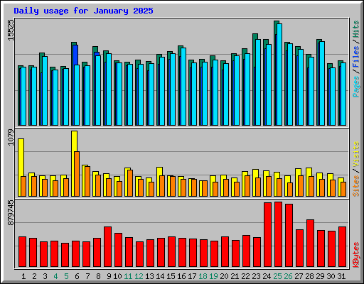Daily usage for January 2025
