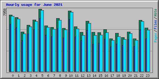 Hourly usage for June 2021