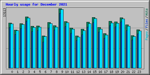 Hourly usage for December 2021