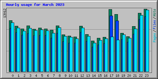 Hourly usage for March 2023