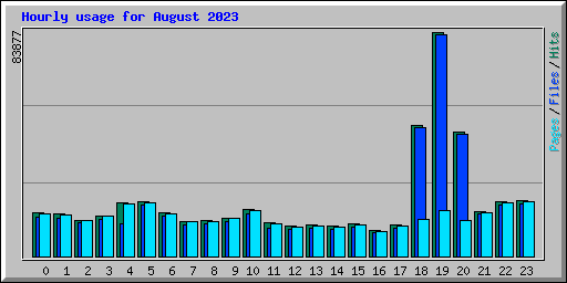 Hourly usage for August 2023