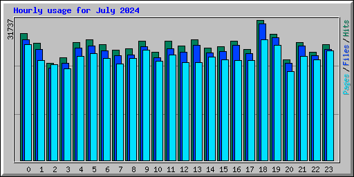 Hourly usage for July 2024
