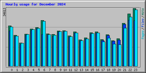 Hourly usage for December 2024