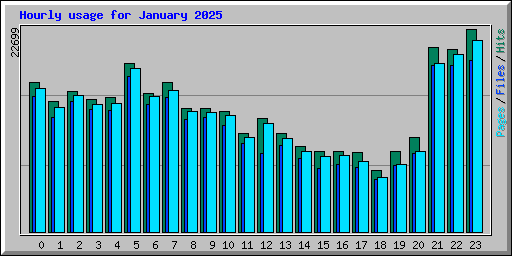 Hourly usage for January 2025