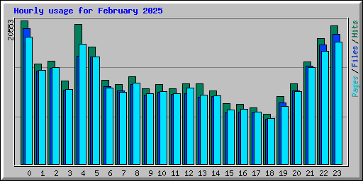 Hourly usage for February 2025