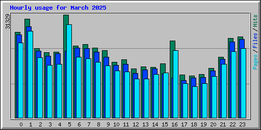Hourly usage for March 2025