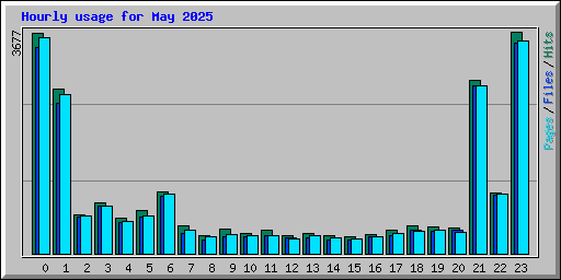 Hourly usage for May 2025