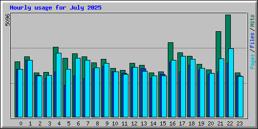 Hourly usage for July 2025