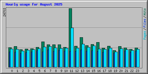 Hourly usage for August 2025