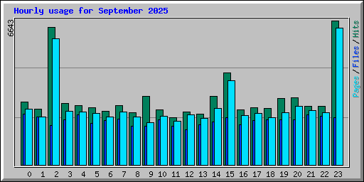 Hourly usage for September 2025