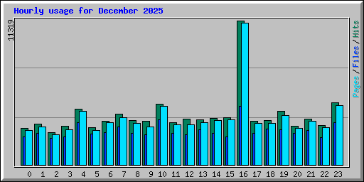 Hourly usage for December 2025