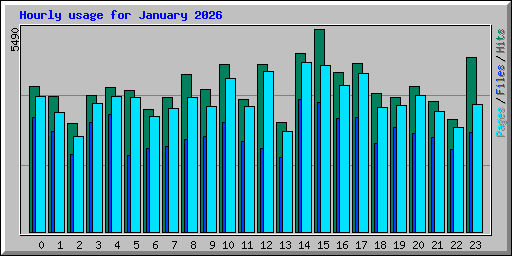 Hourly usage for January 2026
