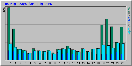 Hourly usage for July 2026